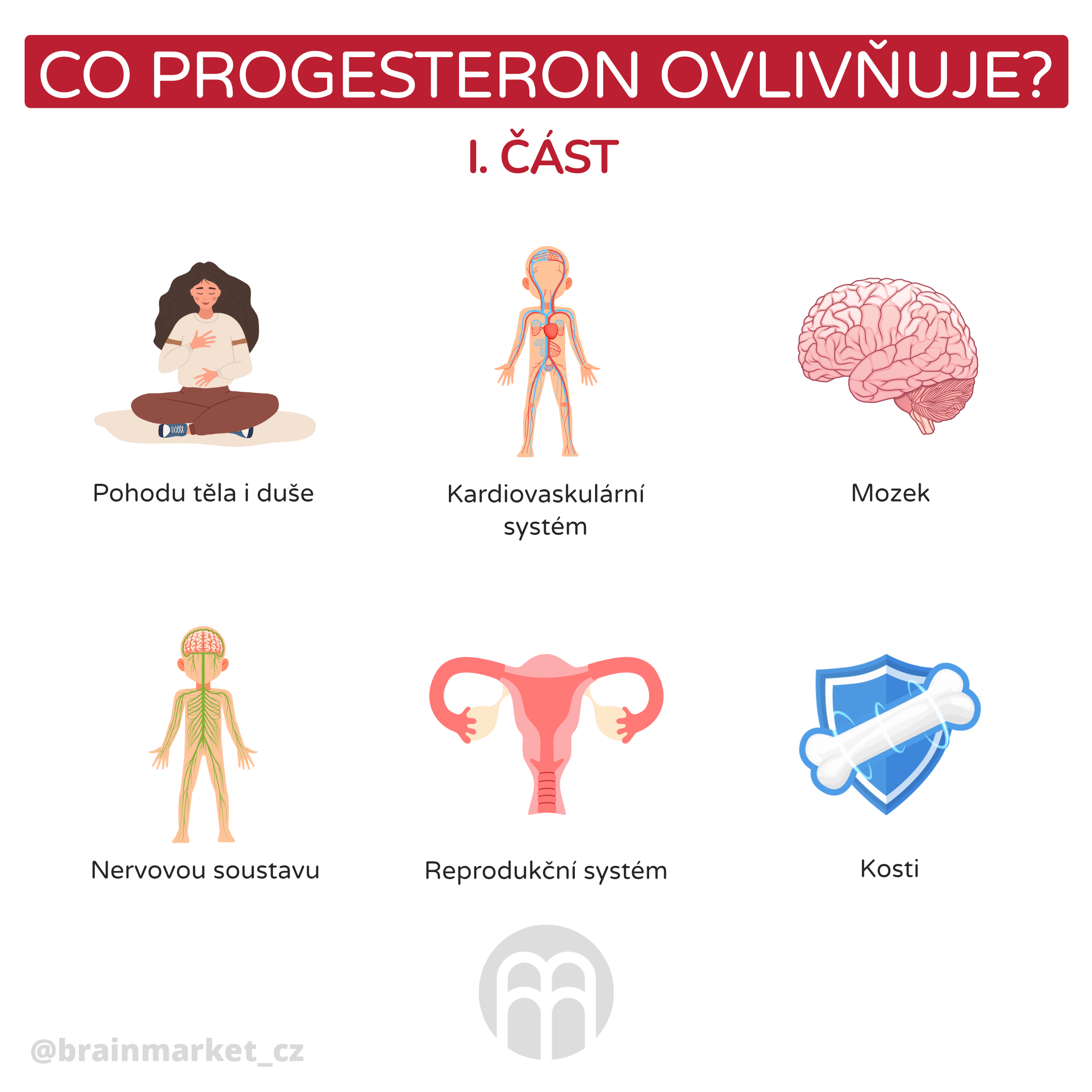 co progesteron ovlinnuje 1 _infografika_cz